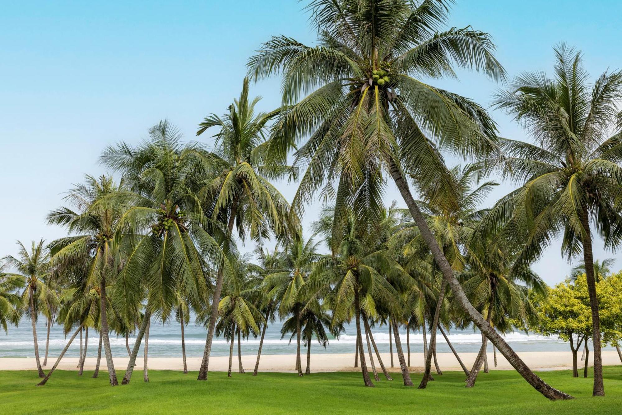 Raffles Hainan Clear Water Bay Lingshui  Exterior foto